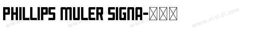 Phillips Muler Signa字体转换
